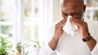 What is allergic rhinitis and other types of allergy and how are they treated?