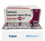 Cephadex DT (Cephalexin 250 mg)